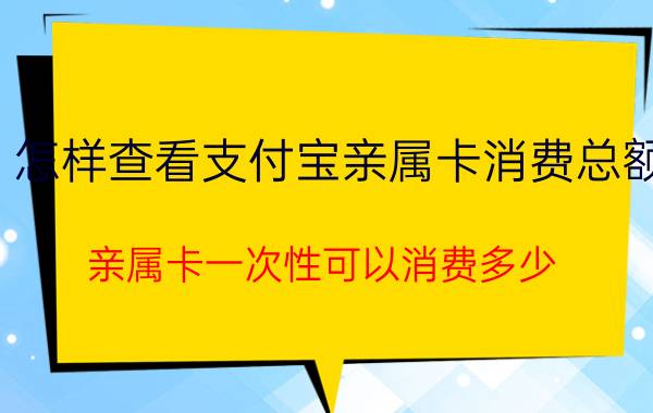 怎样查看支付宝亲属卡消费总额 亲属卡一次性可以消费多少？